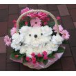 兵庫県姫路市フローリストつたやの花　くまさん!!