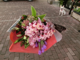 兵庫県姫路市の花屋　フローリストつたや