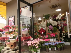兵庫県姫路市の花屋　フローリストつたや