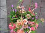 みずひきそう✿｜「フローリストつたや」　（兵庫県姫路市の花キューピット加盟店 花屋）のブログ