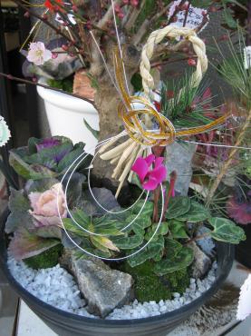 迎春寄せ鉢✿のご案内♪｜「フローリストつたや」　（兵庫県姫路市の花キューピット加盟店 花屋）のブログ