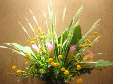 クルクマ✿｜「フローリストつたや」　（兵庫県姫路市の花キューピット加盟店 花屋）のブログ