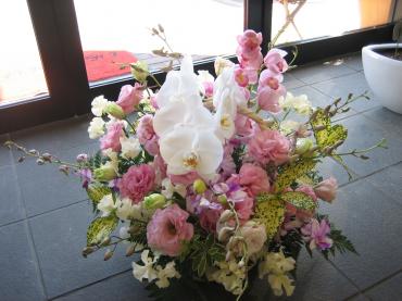 蘭いっぱい✿ｱﾚﾝｼﾞ✿｜「フローリストつたや」　（兵庫県姫路市の花キューピット加盟店 花屋）のブログ