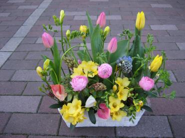 春の花あれやこれや　✿ｱﾚﾝｼﾞ✿｜「フローリストつたや」　（兵庫県姫路市の花キューピット加盟店 花屋）のブログ