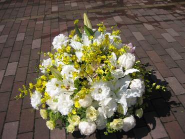 マカロン♪｜「フローリストつたや」　（兵庫県姫路市の花キューピット加盟店 花屋）のブログ
