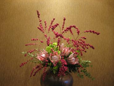 シンフォリカルポス原種 花屋ブログ 兵庫県姫路市の花屋 フローリストつたやにフラワーギフトはお任せください 当店は 安心と信頼の花 キューピット加盟店です 花キューピットタウン