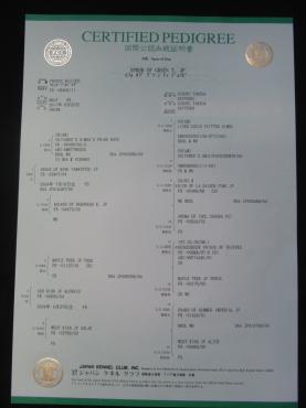 cimg4165