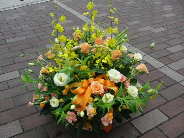 暑いのにも　飽きた・・・✪ω✪｜「フローリストつたや」　（兵庫県姫路市の花キューピット加盟店 花屋）のブログ