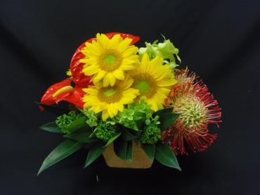 スキミヤグリーン✿。✿｜「フローリストつたや」　（兵庫県姫路市の花キューピット加盟店 花屋）のブログ