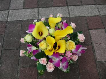 モンちゃん✪ω✪とルンちゃん♫｜「フローリストつたや」　（兵庫県姫路市の花キューピット加盟店 花屋）のブログ