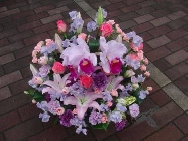さよなら(p_-)　カシャカシャまろん君。。✪ω✪｜「フローリストつたや」　（兵庫県姫路市の花キューピット加盟店 花屋）のブログ