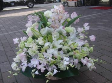 思う存分♫　✪ω✪｜「フローリストつたや」　（兵庫県姫路市の花キューピット加盟店 花屋）のブログ