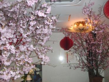 桜祭り❀　中間日。。｜「フローリストつたや」　（兵庫県姫路市の花キューピット加盟店 花屋）のブログ