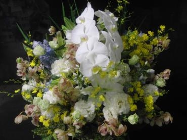 雨降り☂はつまらん･･･✪ω✪｜「フローリストつたや」　（兵庫県姫路市の花キューピット加盟店 花屋）のブログ