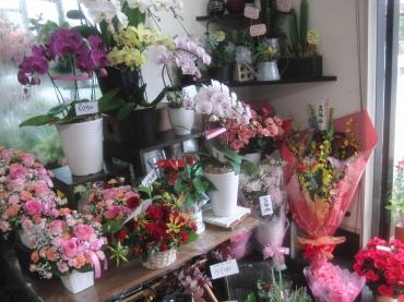 母の日ありがとぉございましたぁ ✿。✿♫｜「フローリストつたや」　（兵庫県姫路市の花キューピット加盟店 花屋）のブログ