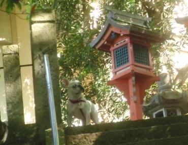 image2