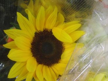 ひまわりｻﾝ達✿。✿｜「フローリストつたや」　（兵庫県姫路市の花キューピット加盟店 花屋）のブログ