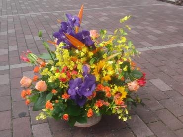 紫とオレンジ✿。✿｜「フローリストつたや」　（兵庫県姫路市の花キューピット加盟店 花屋）のブログ