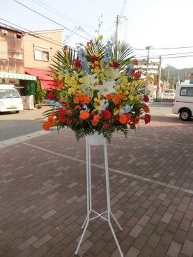 敏感な犬✪ω✪｜「フローリストつたや」　（兵庫県姫路市の花キューピット加盟店 花屋）のブログ