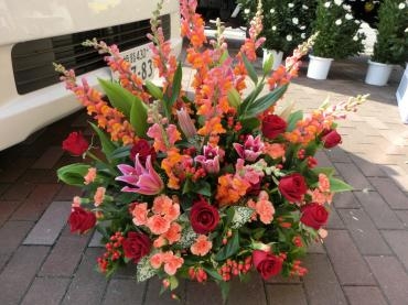 開店お祝いのアレンジ✿｜「フローリストつたや」　（兵庫県姫路市の花キューピット加盟店 花屋）のブログ