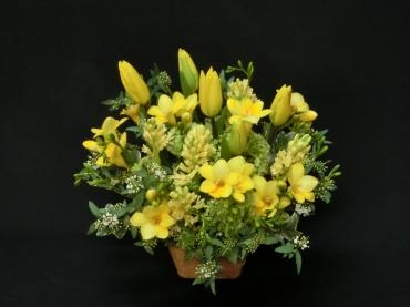 フリージャを使って春らしいアレンジ✿｜「フローリストつたや」　（兵庫県姫路市の花キューピット加盟店 花屋）のブログ