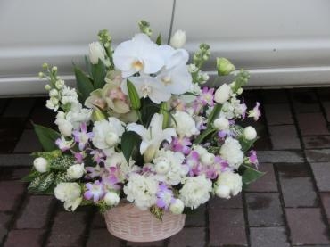 量より質✿アレンジ✿｜「フローリストつたや」　（兵庫県姫路市の花キューピット加盟店 花屋）のブログ