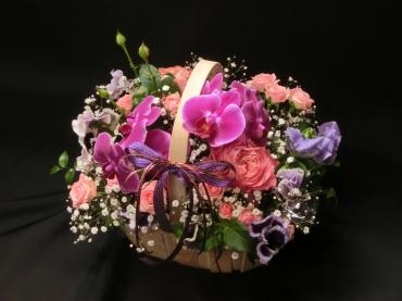胡蝶蘭と✿パンジー✿｜「フローリストつたや」　（兵庫県姫路市の花キューピット加盟店 花屋）のブログ