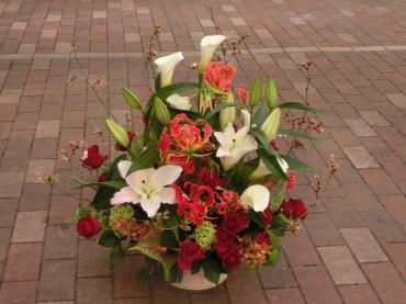 大人っぽいのン✿。✿｜「フローリストつたや」　（兵庫県姫路市の花キューピット加盟店 花屋）のブログ
