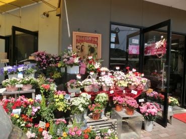 母の日前日の　つたや✿｜「フローリストつたや」　（兵庫県姫路市の花キューピット加盟店 花屋）のブログ
