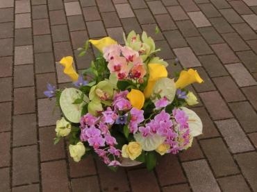 男性の方にお誕生日お祝いアレンジメント✿｜「フローリストつたや」　（兵庫県姫路市の花キューピット加盟店 花屋）のブログ