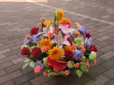 カラフル✿｜「フローリストつたや」　（兵庫県姫路市の花キューピット加盟店 花屋）のブログ