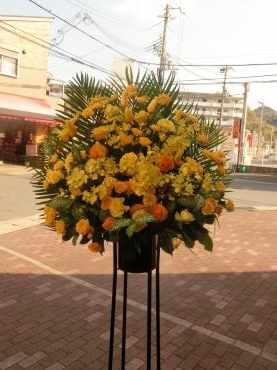 春うらら✿。✿｜「フローリストつたや」　（兵庫県姫路市の花キューピット加盟店 花屋）のブログ