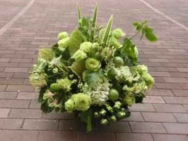 緑色のアレンジメント✿｜「フローリストつたや」　（兵庫県姫路市の花キューピット加盟店 花屋）のブログ