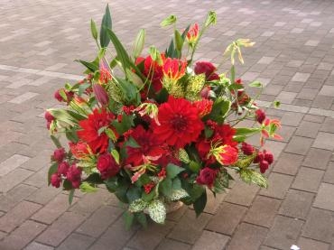 久々の晴れ間☀｜「フローリストつたや」　（兵庫県姫路市の花キューピット加盟店 花屋）のブログ