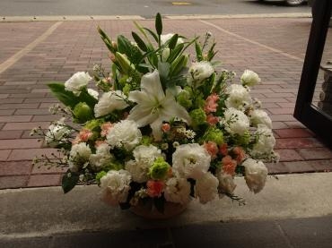 地味にせんといてねぇ～✿｜「フローリストつたや」　（兵庫県姫路市の花キューピット加盟店 花屋）のブログ