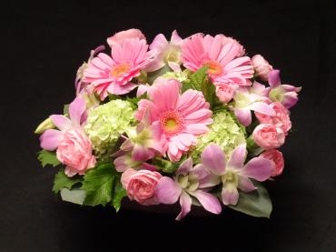 11月なのに・・・｜「フローリストつたや」　（兵庫県姫路市の花キューピット加盟店 花屋）のブログ