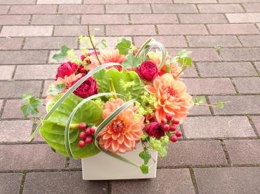 赤い花っ✿。✿｜「フローリストつたや」　（兵庫県姫路市の花キューピット加盟店 花屋）のブログ