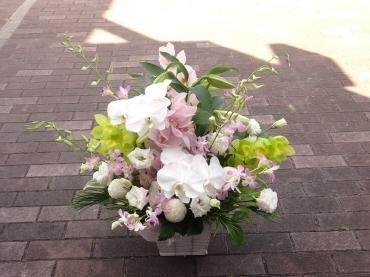 お盆の花✿。✿｜「フローリストつたや」　（兵庫県姫路市の花キューピット加盟店 花屋）のブログ