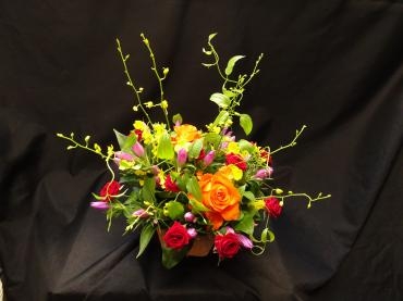 てんやわんや✿。✿｜「フローリストつたや」　（兵庫県姫路市の花キューピット加盟店 花屋）のブログ