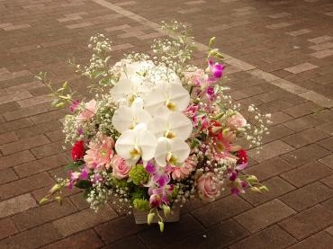 季節外れの彼岸花✿｜「フローリストつたや」　（兵庫県姫路市の花キューピット加盟店 花屋）のブログ