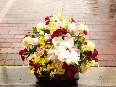 母の日はありがとうございました。｜「フローリストつたや」　（兵庫県姫路市の花キューピット加盟店 花屋）のブログ