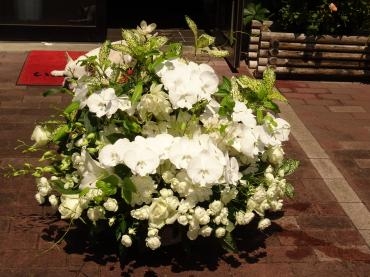 白上がりでも御祝アレンジメント✿。✿♪｜「フローリストつたや」　（兵庫県姫路市の花キューピット加盟店 花屋）のブログ